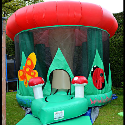 Petite maison de champignons en PVC commercial Château maison gonflable depuis 14 ans