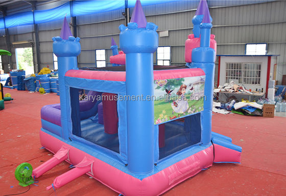 Caractéristiques Portable enfants château coquin maison gonflable avec toboggan et piscine