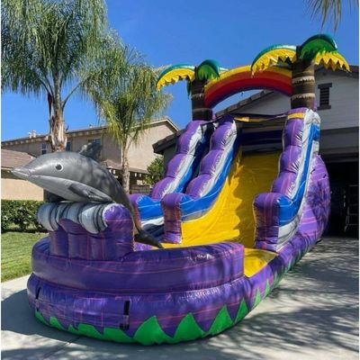 Capacité maximale du jardin &gt; 500 kg, toboggan gonflable avec piscine