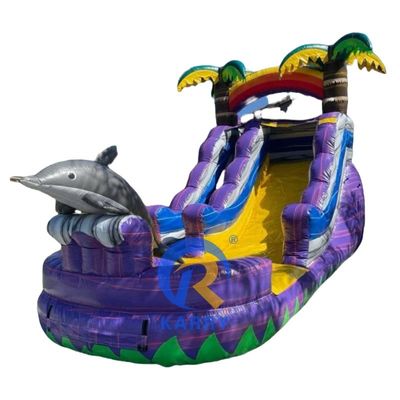 Article personnalisé Couleur gonflable glissière avec piscine glissière d'eau de qualité commerciale