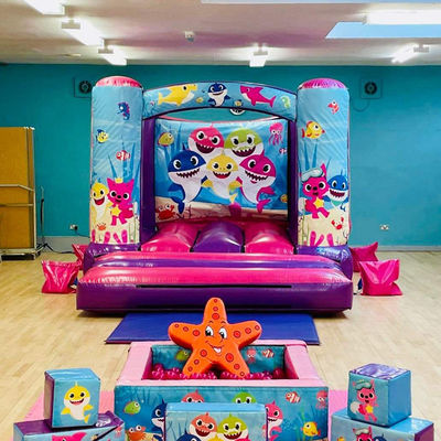 14 ans plus tard, le château de trampoline gonflable mini personnalisé avec une couleur personnalisée