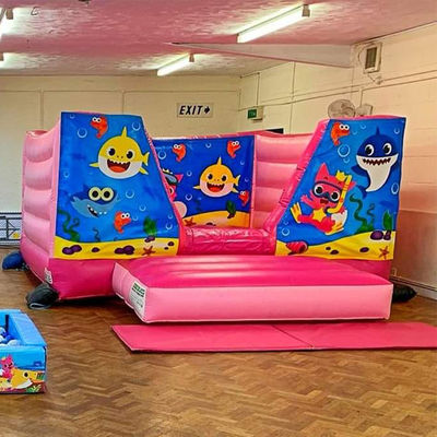 14 ans plus tard, le château de trampoline gonflable mini personnalisé avec une couleur personnalisée