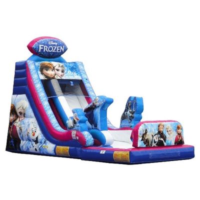 Couleur personnalisée Populaire petit requin gonflable toboggan avec piscine