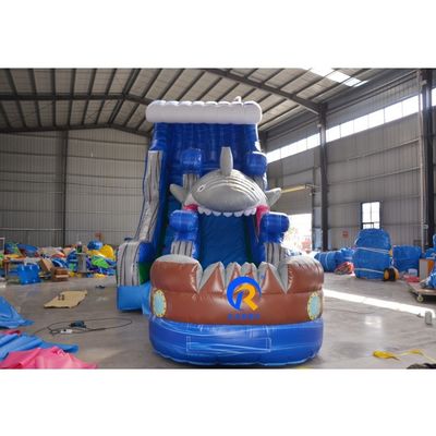 Capacité maximale 100-500 kg Slide sec gonflable à chaud pour enfants et adultes