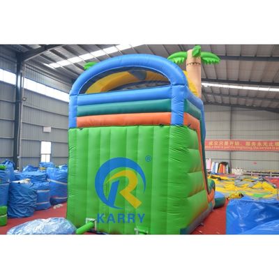 Couleur personnalisée Grand château rebondissant Combo avec l'impression numérique de la piscine et de la glissière raide
