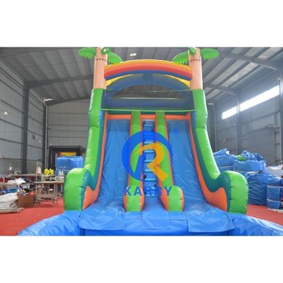 Couleur personnalisée Grand château rebondissant Combo avec l'impression numérique de la piscine et de la glissière raide