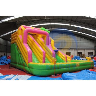 Couleur personnalisée marbre tropicale glissement d'eau gonflable Combo Bouncer pour la vente unisexe