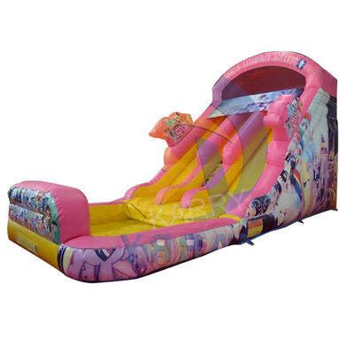 CE souffleur et accessoires de réparation inclus Fairy Princess Water Slide gonflable
