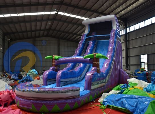 Promotion 2023 glissement de terrain escarpé Magic Palm Tree Slide d'eau violette gonflable avec piscine