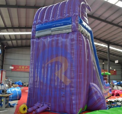 Promotion 2023 glissement de terrain escarpé Magic Palm Tree Slide d'eau violette gonflable avec piscine