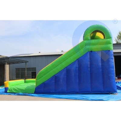 Attract CE EN14960 Certifié Léopard Print Arch Des toboggans gonflables avec piscine