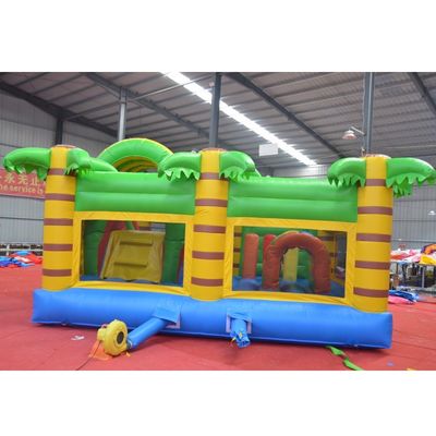 14 ans et plus Range d'âge Portable Bouncer gonflable avec glisser-déposer Jumping Castle Moonwalk