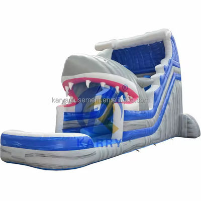 Libérez votre requin intérieur Commercial Blue Water Slide avec requin gonflable et piscine