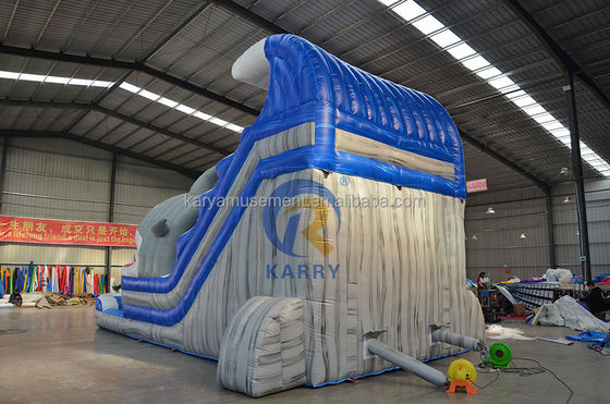 Libérez votre requin intérieur Commercial Blue Water Slide avec requin gonflable et piscine