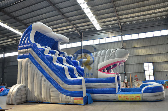 Libérez votre requin intérieur Commercial Blue Water Slide avec requin gonflable et piscine