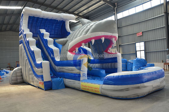 Libérez votre requin intérieur Commercial Blue Water Slide avec requin gonflable et piscine