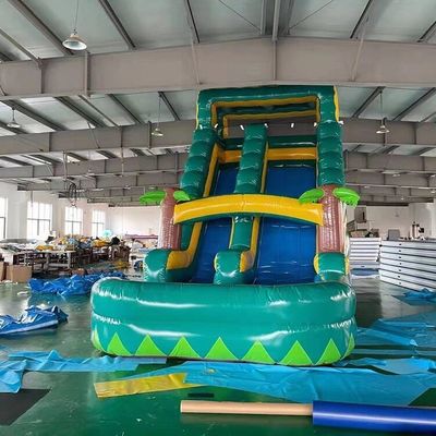 Couleur personnalisée toboggan gonflable à l'eau populaire jardin commercial taille adulte enfants