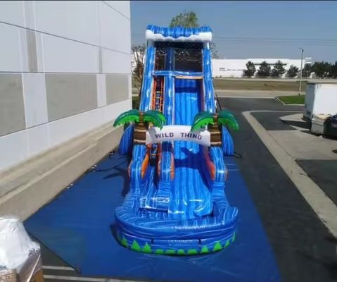 Des équipements de parcs aquatiques à glissière tropical gonflable Amenez la plage dans votre jardin