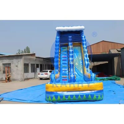 Glissière gonflable de 18 pieds pour adultes avec piscine et palmier