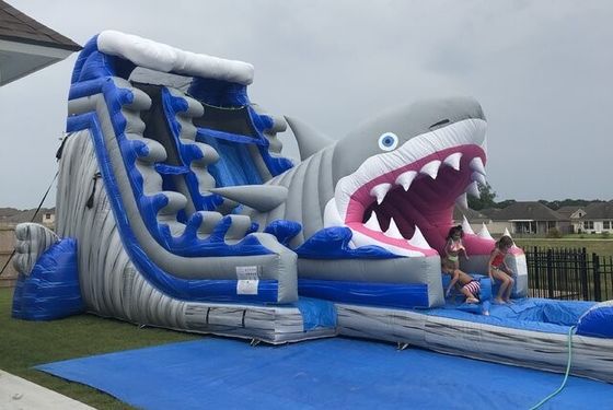 Équipement de parc aquatique gonflable populaire Grands toboggans aquatiques en 3D bleu avec piscine