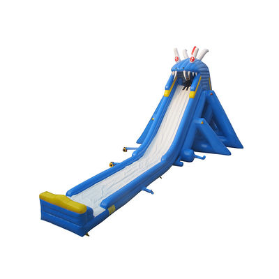 Impression numérique personnalisée Commercial PVC Tarpaulin saut à l'air toboggan d'eau pour enfants et adultes