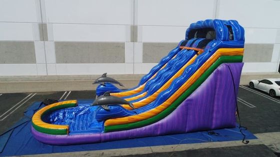 Expédition express Unisexe Bounce Slider Glissière gonflable avec piscine Jeux Jeux