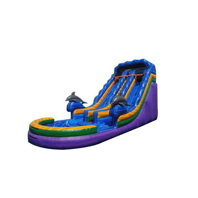 Expédition express Unisexe Bounce Slider Glissière gonflable avec piscine Jeux Jeux