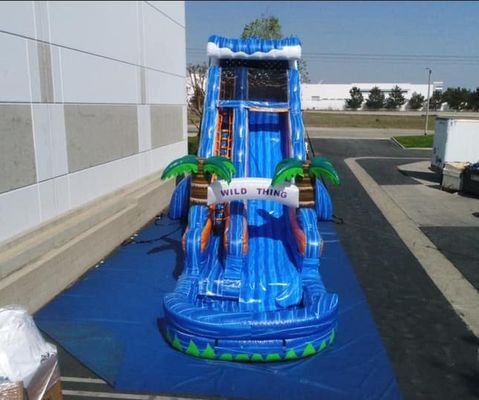 Occasion Jeux commerciaux gonflables Marbre Palm Tree Bouncer Glisseur pour le jeu en plein air