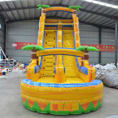Occasions commerciales Palmier multicolore toboggan gonflable avec petite piscine