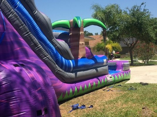 Impression numérique Palm Tree violet Commercial gonflable toboggan pour adultes et enfants