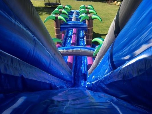 Impression numérique Palm Tree violet Commercial gonflable toboggan pour adultes et enfants
