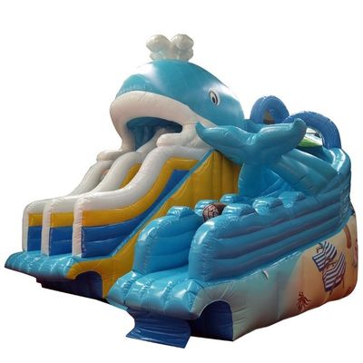 Impression numérique bébé enfants gonflable Dubai Water Slide avec capacité maximale 100-500kg