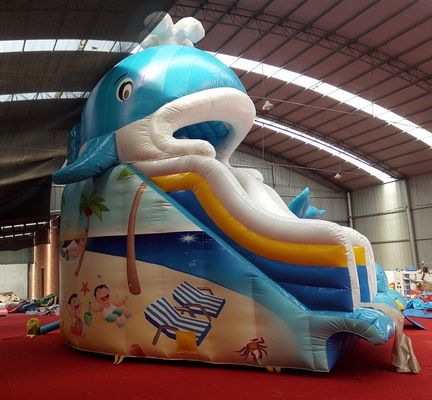 Impression numérique bébé enfants gonflable Dubai Water Slide avec capacité maximale 100-500kg