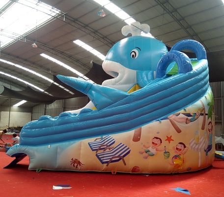 Impression numérique bébé enfants gonflable Dubai Water Slide avec capacité maximale 100-500kg