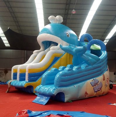 Impression numérique bébé enfants gonflable Dubai Water Slide avec capacité maximale 100-500kg