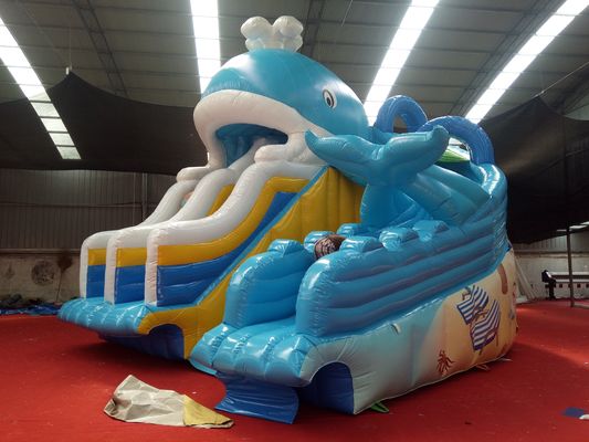 Impression numérique bébé enfants gonflable Dubai Water Slide avec capacité maximale 100-500kg