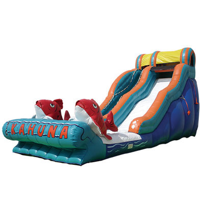 Occasions commerciales toboggan à saut à l'eau gonflable avec piscine 2 toboggan à carpes