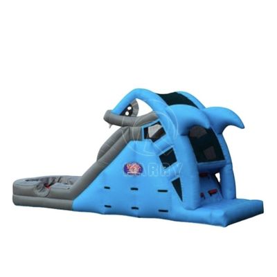 Impression personnalisée Glissière gonflable à eau Capacité maximale 100-500 kg pour le terrain de jeux pour enfants