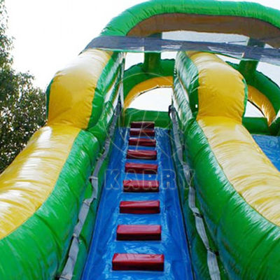 Parcours de palmier en PVC long toboggan gonflable pour 5 à 10 passagers