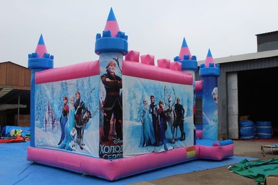 14 ans en haut du château Bounce Rose House Jumping Bouncy château à louer pour la fête