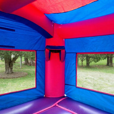 Terrain de jeux en plein air gonflable château gonflable congelé avec diapositive de qualité commerciale durable