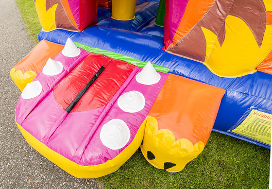 14 ans Unisexe gonflable en plein air Jungle Lion Bouncer avec glissière et château de saut