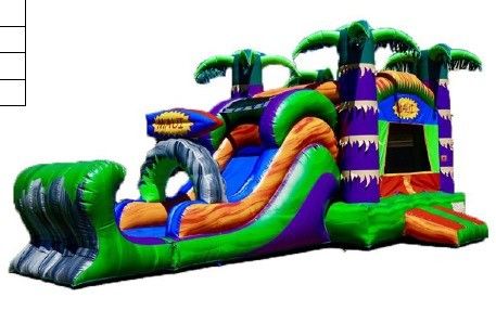 Une glissière gonflable neutre par rapport au sexe, parfaite pour la location de fêtes commerciales.