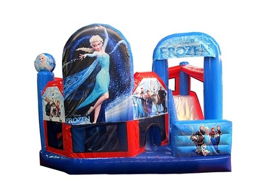 Une glissière gonflable neutre par rapport au sexe, parfaite pour la location de fêtes commerciales.