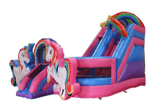 Une glissière gonflable neutre par rapport au sexe, parfaite pour la location de fêtes commerciales.