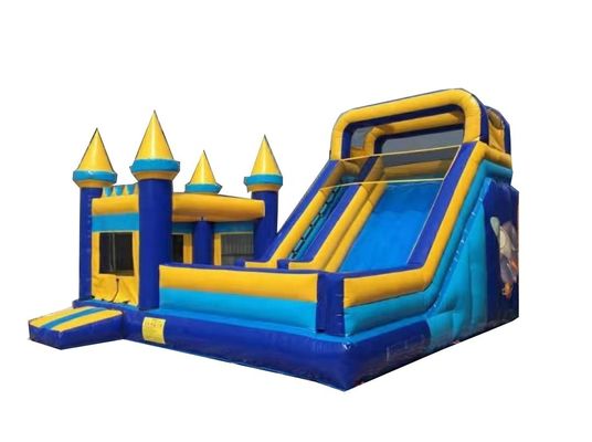 Une glissière gonflable neutre par rapport au sexe, parfaite pour la location de fêtes commerciales.