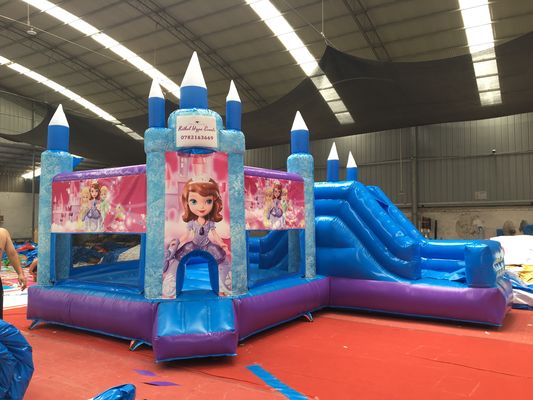Fête de la princesse chaude château gonflable avec glissière PVC équipement de terrain de jeu commercial