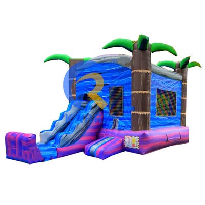 Jeux d'extérieur pour enfants Palmier tropical Château gonflable Glissière avec kits de réparation
