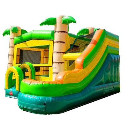 14 ans et plus Range d'âge maison gonflable avec toboggan et palmier