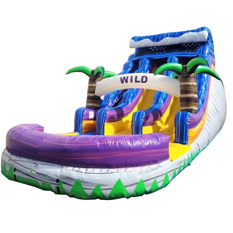 Grande piscine enfants saut de glissière Fête de maison Commercial Tropical Palmiers Glissière d'eau avec deux glissière n